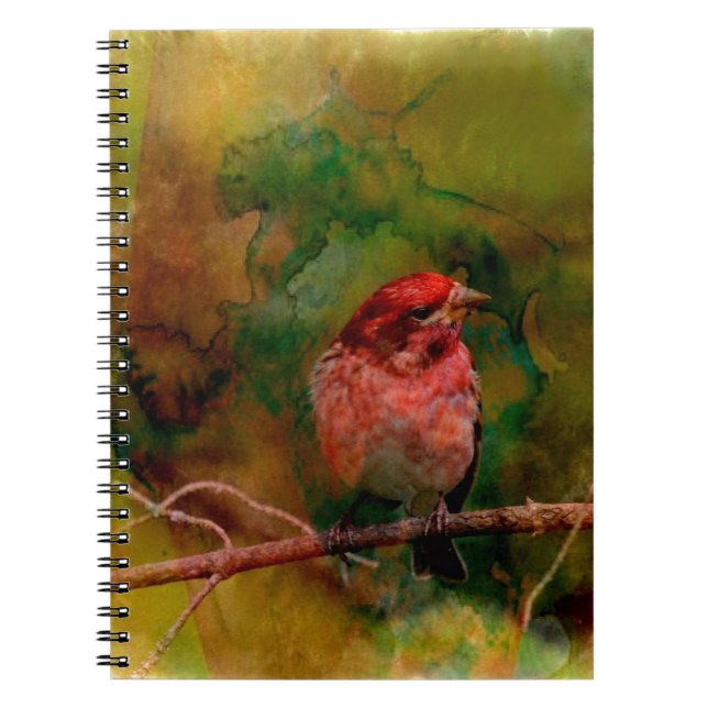Purple Finch Notebook (Front)