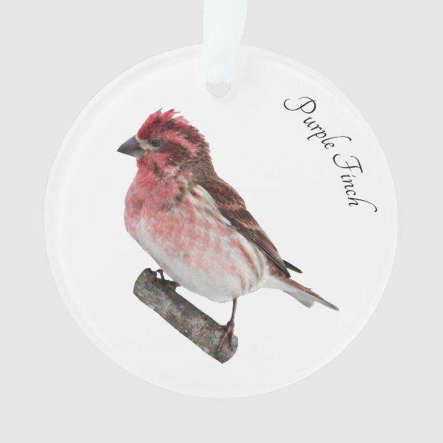 Purple Finch Ornament (Front)