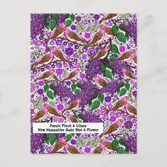 Purple Finches, Lilacs - NH State Bird and Flower Postcard (Front)