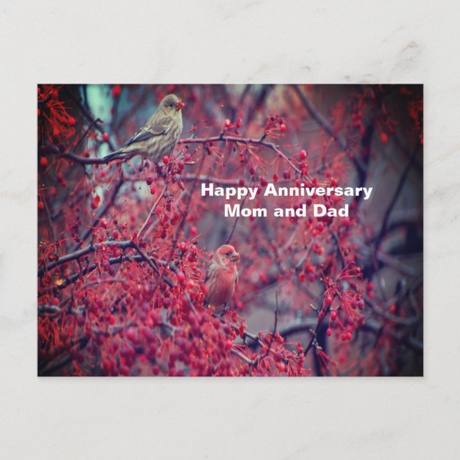 Purple Finches Postcard (Front)