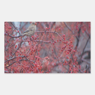 Purple Finches Rectangular Sticker