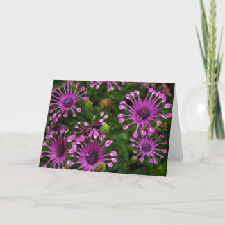 Purple Firework Flowers Card