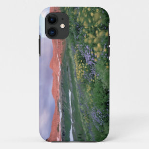 Purple Fleabane (erigeron peregrinus) and Yellow iPhone 11 Case