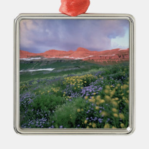Purple Fleabane (erigeron peregrinus) and Yellow Metal Ornament