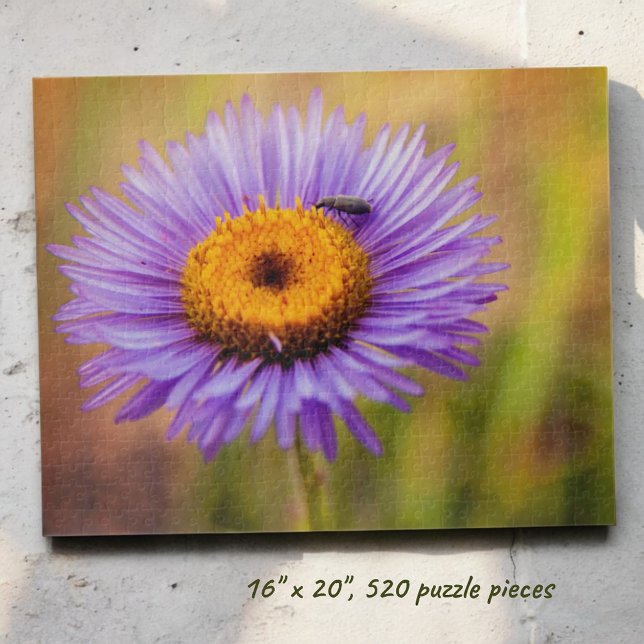 Purple Fleabane Flower and Insect Photograph Jigsaw Puzzle (Completed horizontal format jigsaw puzzle)