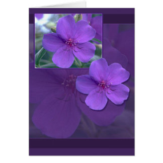 Purple Floral Elegance