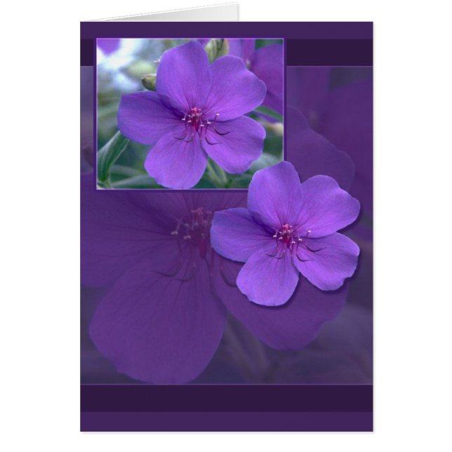 Purple Floral Elegance (Front)