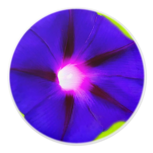 Purple Floral Knobs (Front)