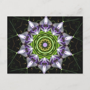 Purple Floral Mandala Kaleidoscope Art Postcard