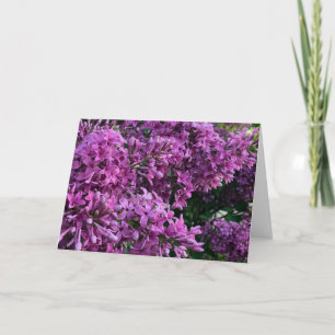 Purple floral photo purple lilacs  card