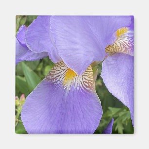 Purple Floral Photography Magnet