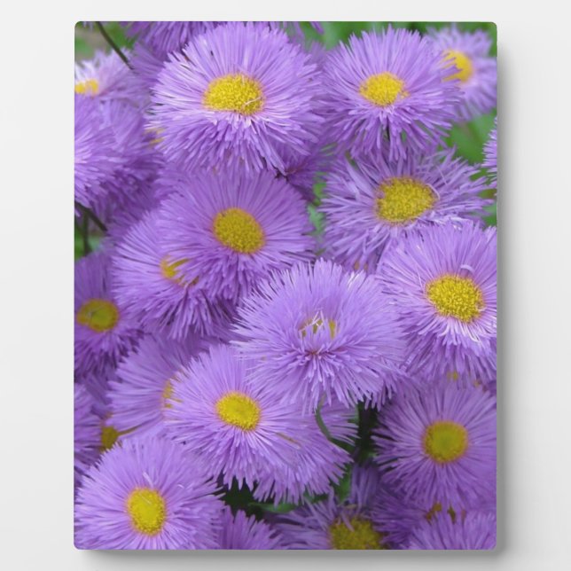 Purple Floral Plaque (Front)