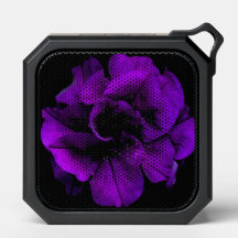 Purple Flower