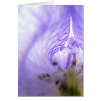 Purple Flower 1