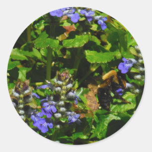 Purple Flower and Bumble Bee Classic Round Sticker