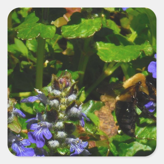 Purple Flower and Bumble Bee Square Sticker (Front)