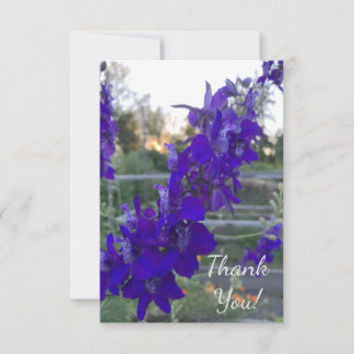 Purple Flower at Sunset Thank You Card