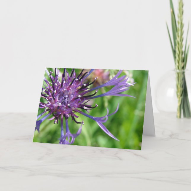 Purple Flower Card (Front)
