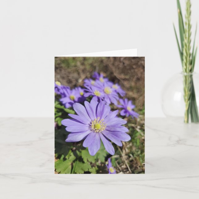 Purple flower card (Front)
