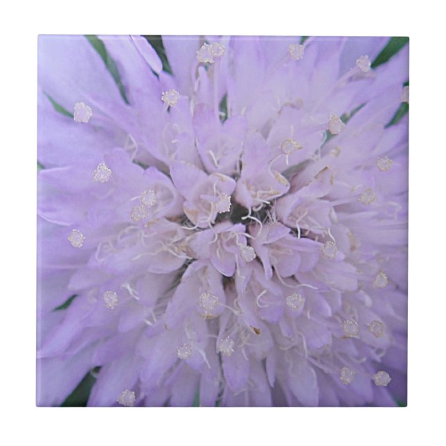 Purple flower ceramic tile (Front)