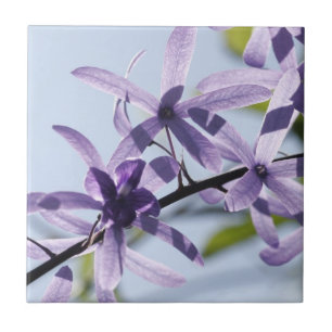 Purple Flower Ceramic Tile