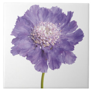 Purple Flower Ceramic Tile Coaster