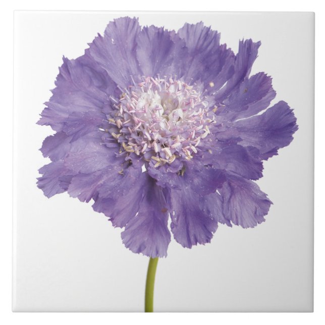 Purple Flower Ceramic Tile Coaster (Front)