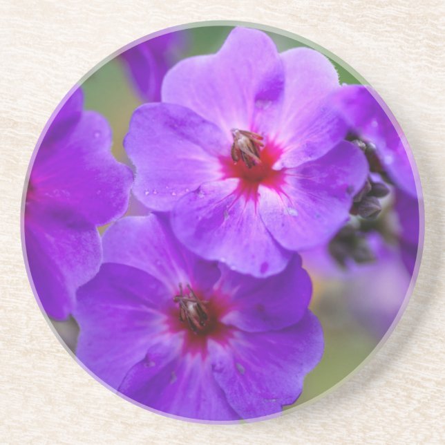 Purple flower coaster (Front)