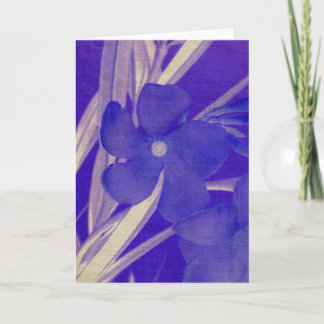 Purple Flower Greeting Card