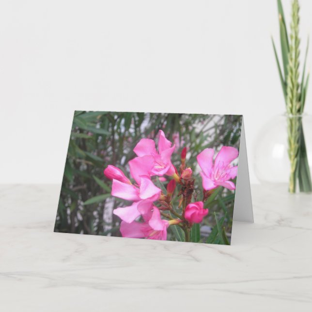 Purple Flower Greeting Card (Front)