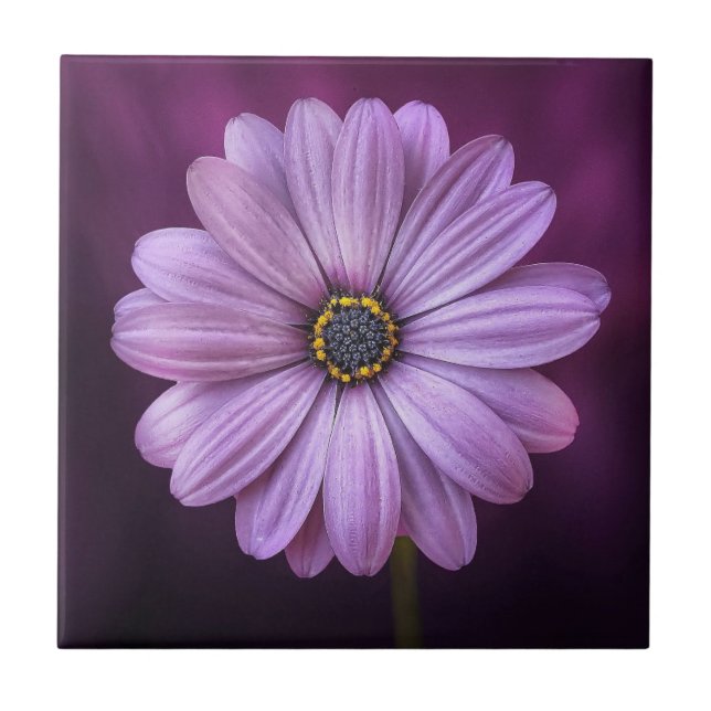 Purple Flower in Bloom Ceramic Tile (Front)