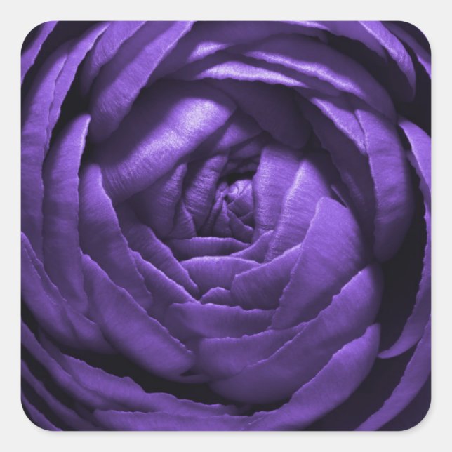 Purple Flower Macro Shot Square Sticker (Front)