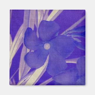 Purple Flower Magnet