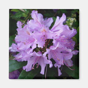Purple Flower Magnet