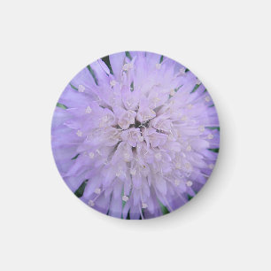 Purple flower magnet