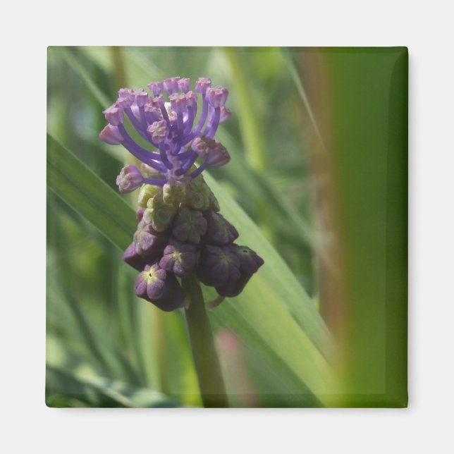 Purple Flower Magnet (Front)