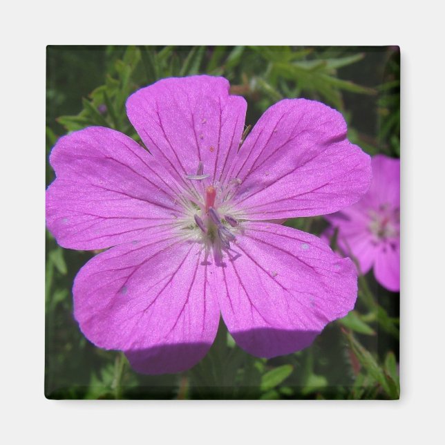purple flower magnet (Front)