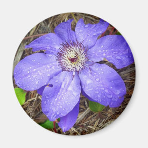 Purple Flower Magnet