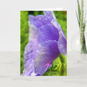 Purple Flower Mum Greeting Card