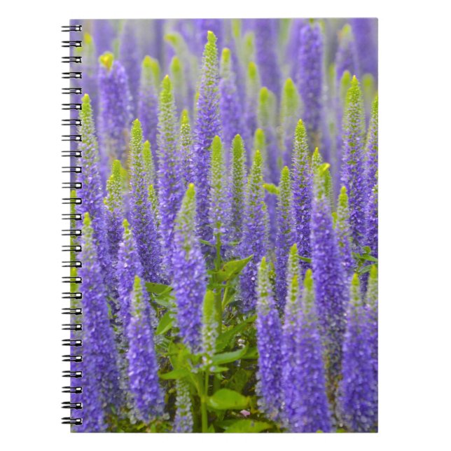 Purple flower Notebook (Front)