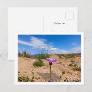 Purple flower of Armenia Postcard