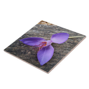 Purple flower on a bench ceramic tile