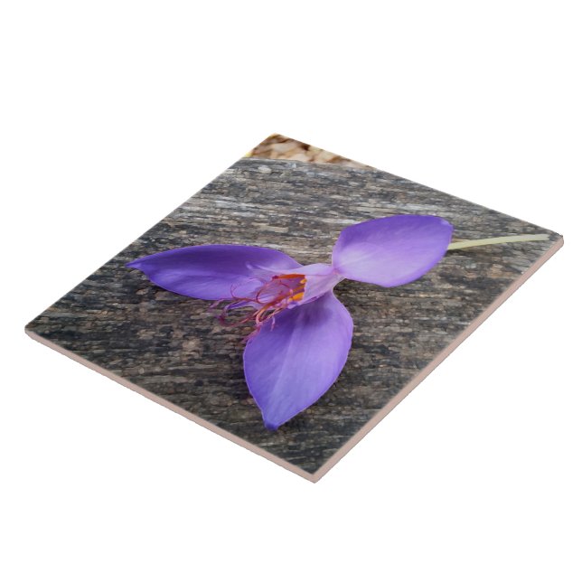 Purple flower on a bench ceramic tile (Side)