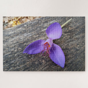 Purple flower on a bench jigsaw puzzle