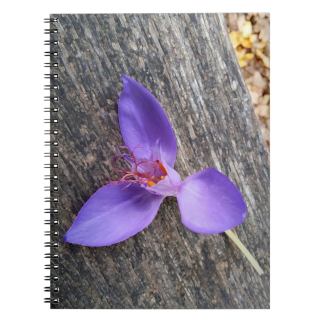 Purple flower on a bench notebook (Front)