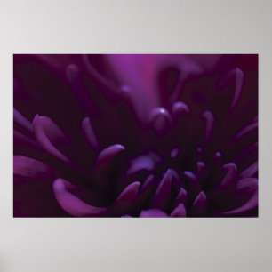 Purple Flower Photograph Poster