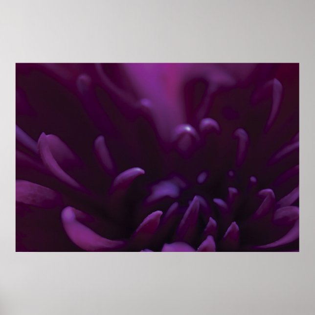 Purple Flower Photograph Poster (Front)