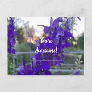 Purple Flower Postcard