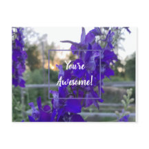 Purple Flower Postcard