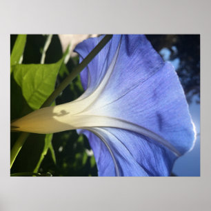 Purple Flower Poster